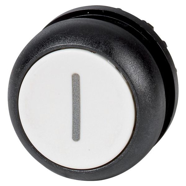 M22S-D-W-X1 Pushbutton, RMQ-Titan, Flat, momentary, White, inscribed, Bezel: black image 2