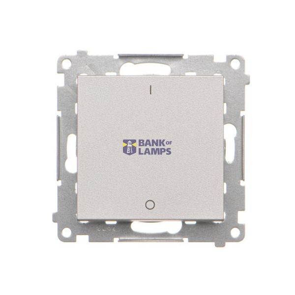 Two-pole switch, 10AX, matt aluminum image 1