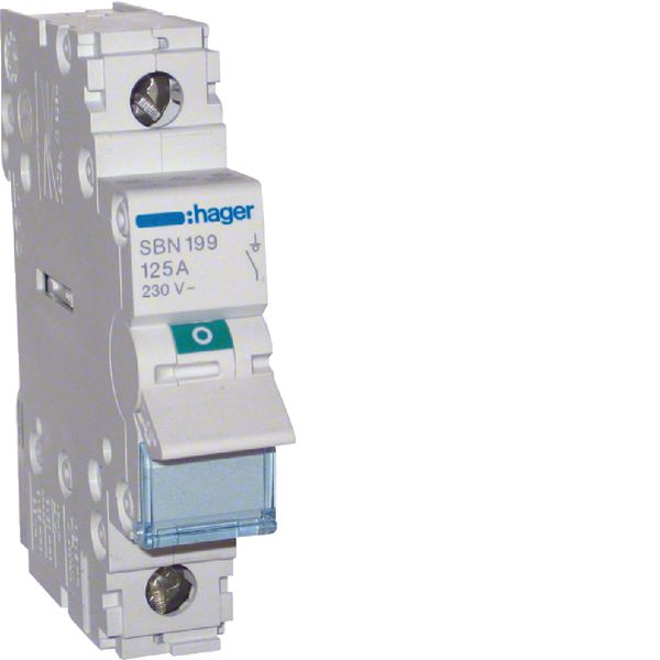 1P 125A Switch image 1