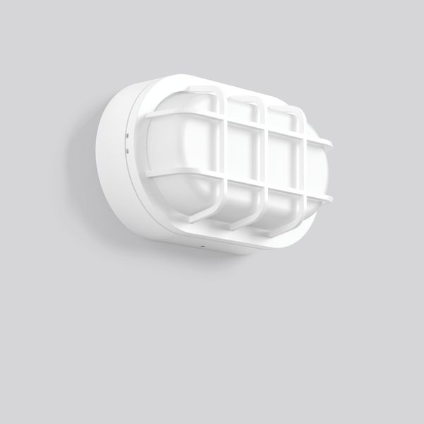 Alu-Lux oval, 12 W, 730 lm, 840, white, on/off Ceiling and wall lumina image 1