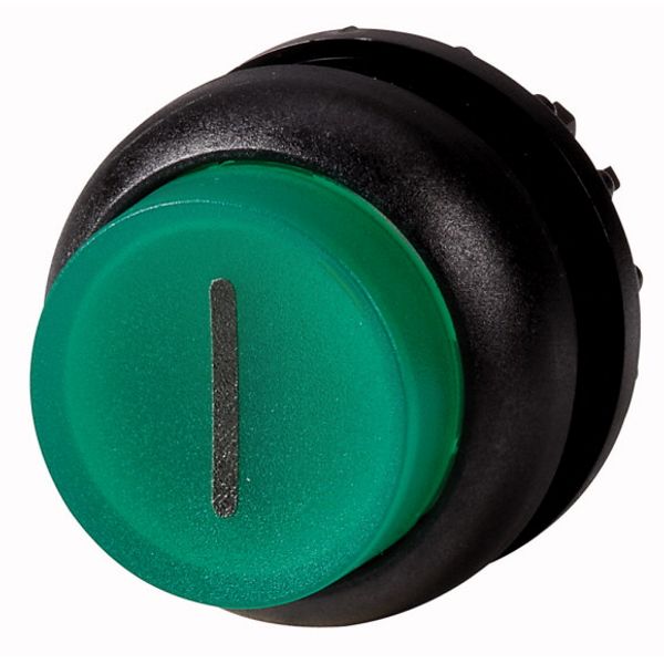 M22S-DLH-G-X1 Illuminated pushbutton actuator, RMQ-Titan, Extended, momentary, green, inscribed, Bezel: black image 1