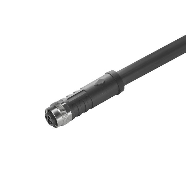 Power cable, One end without connector, M12, Number of poles : 4, 3 m, Female socket, straight, Shielded: No, LED: No, Sheath material: PUR, Halogen: No image 2