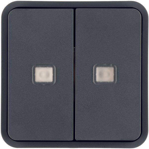 Rocker 2gang for W.1 push-button BCU, with two lenses, grey image 1