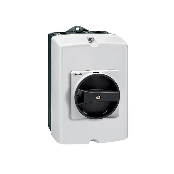 IEC/EN type IP65 plastic enclosure switch disconnector, four-pole. With rotating black handle, 32A. Enclosure dimensions: 100x168x97mm/3.9x6.6x3.8'' image 1