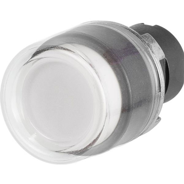 Projecting push-button, illuminated, white, rubber cap image 1
