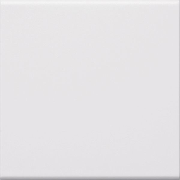 Rocker 1-gang for switch/button for frontplate 55 halogen free traffic image 3