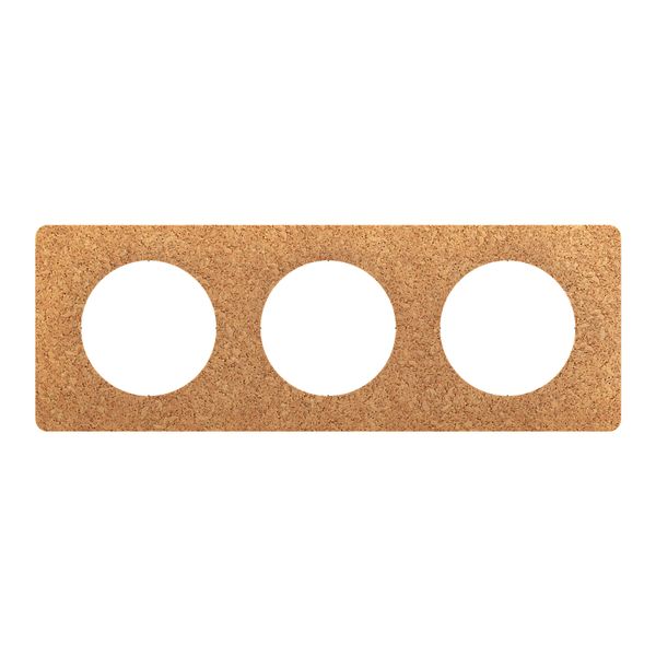PLATE 3 GANG CORK image 6