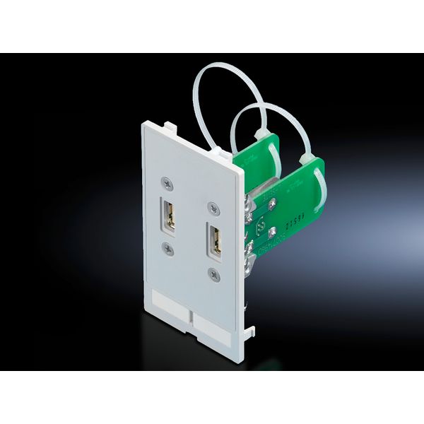 SZ Interface flap, modular, interface inserts, 2 x USB A, jack/jack image 2