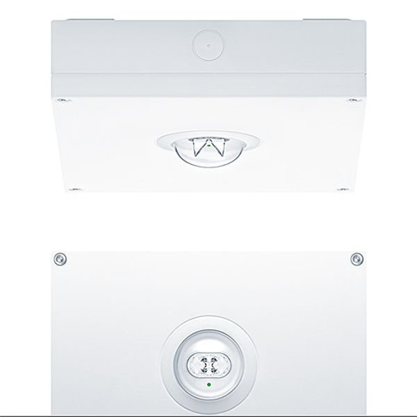 RESCLITE PRO MSC ESC E8D WH IP65 - Safety luminaire image 1