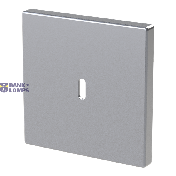 6479-83-500 Cover plate for USB C power adapter image 2