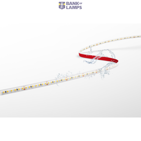 STRIP LED ACCENTO PRO image 1