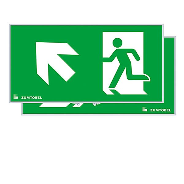 PURESIGN 150 MSC/MRC SP2-E002-UPLR ERI - Escape sign image 1