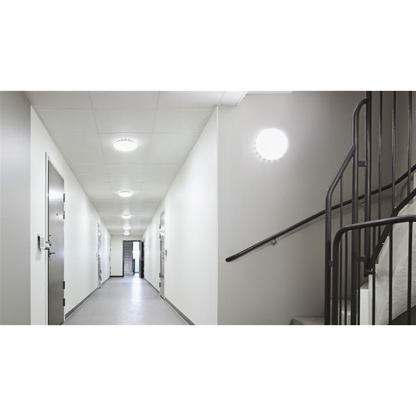 Steinel Reservekap RS PRO LED S2 kunststof image 1