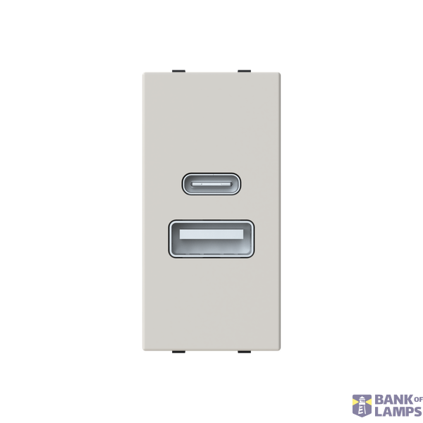 N2185.3 DN USB CHARGER A+C 10.5W -1M image 1