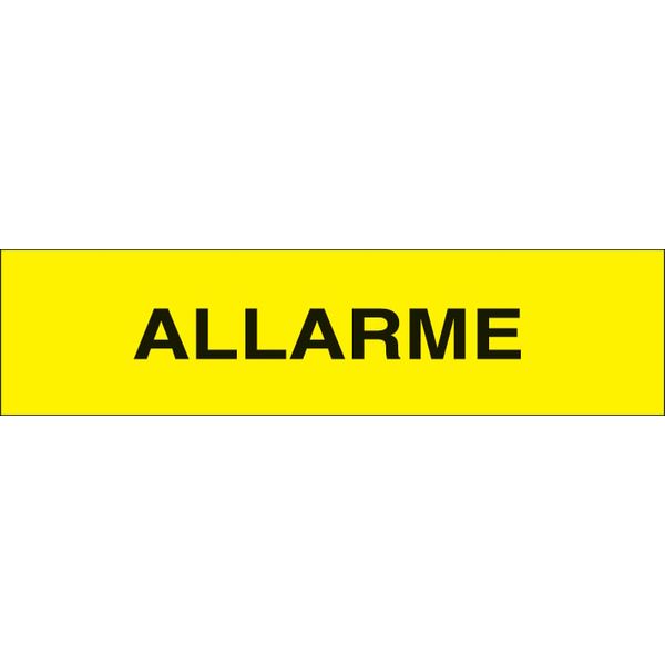 Adhesive label - Dimensions: 250 x 60 mm image 1