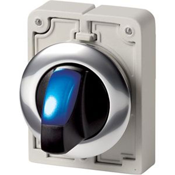 M30C-FWLK-B Illuminated selector switch actuator, RMQ-Titan, With thumb-grip, momentary, 2 positions, Blue, Metal bezel image 2