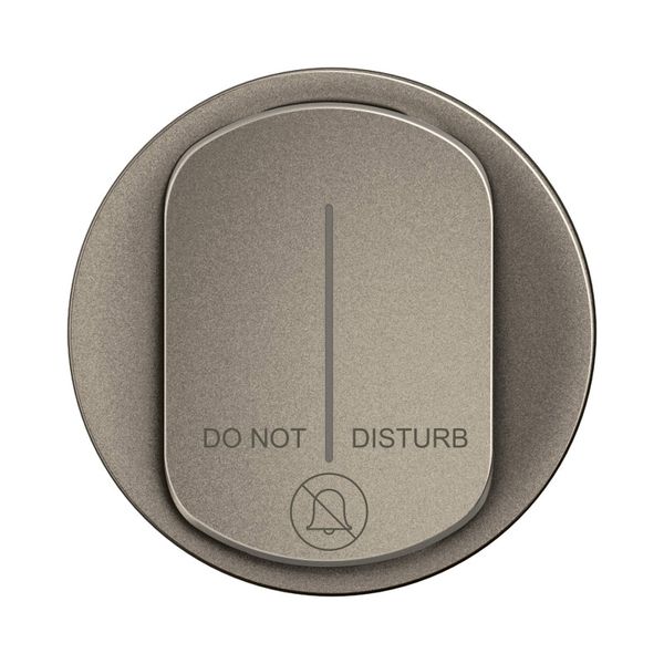 INDICATOR LAMP ROCKER TITANIUM image 4