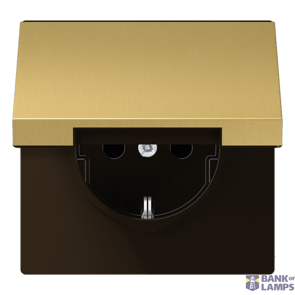 Cover for SCHUKO® sockets, hinged cover, brass, LS series, classic brass image 1