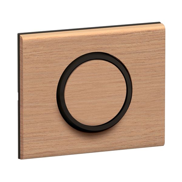 RING 2 WAY SWITCH image 5