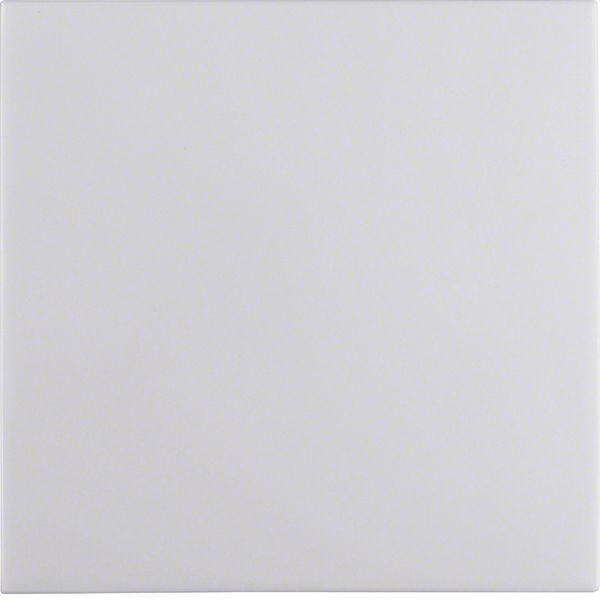 Rocker with fixing element IP44 S.1 polar white glossy image 1