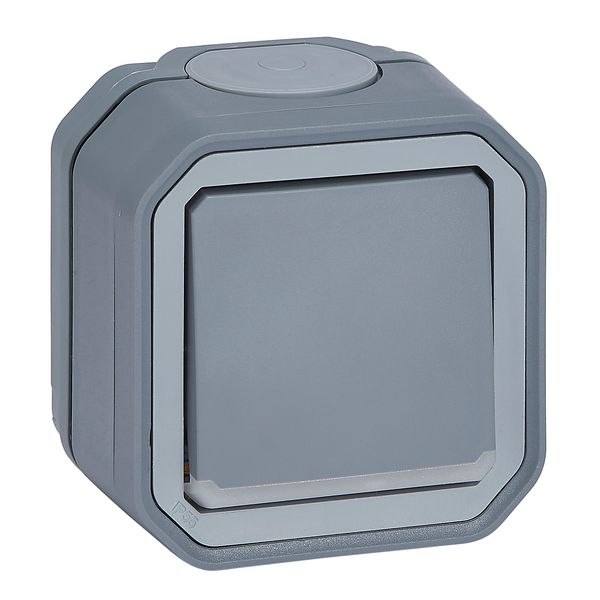 PLEXO DOUBLE POLE SWITCH INDICATOR - GREY - SURFACE image 1