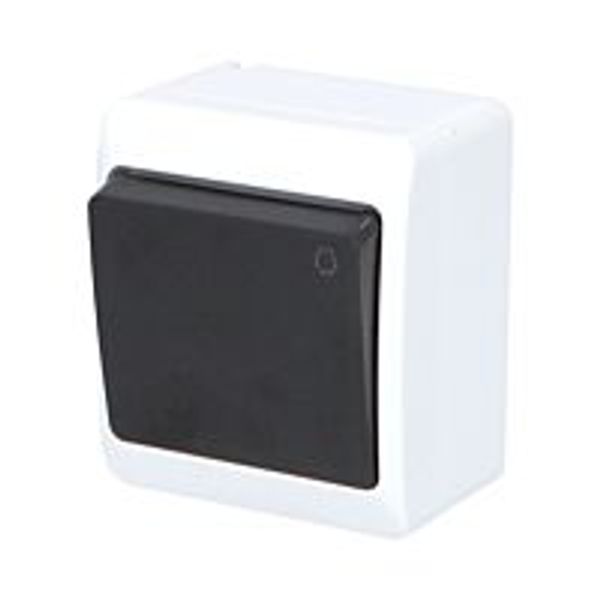 GALATEA Button symbol light No. 1/0 10A 230V on plaster IP44 white/black image 1