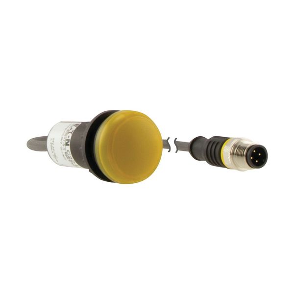C22-L-Y-24-P3 Indicator light, Flat, Cable (black) with M12A plug, 4 pole, 0.5 m, Lens yellow, LED white, 24 V AC/DC image 10