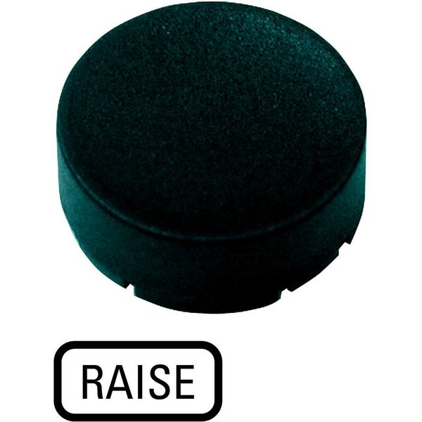 M22-XDH-S-GB17 Button plate, raised black, RAISE image 5