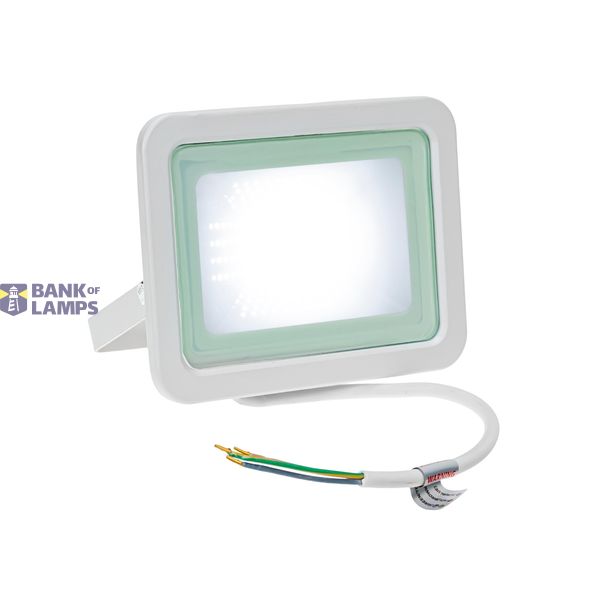 NOCTIS LUX 2 SMD 230V 30W IP65 CW white image 8