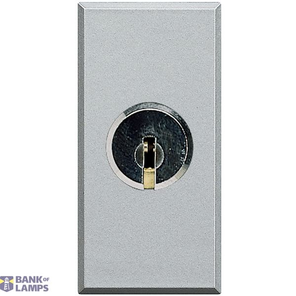 Axolute 1 way switch 2P 16A unified keys pale image 1