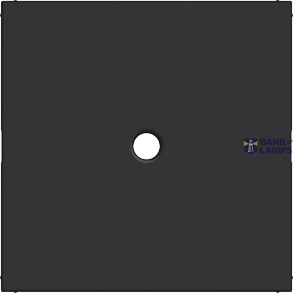 Central plate for switch/push button with pull handle, A.x/C.x, matte black image 1