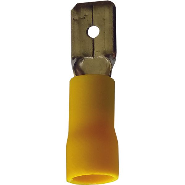 Fichero: Ter ench plan amarillo.jpg image 1