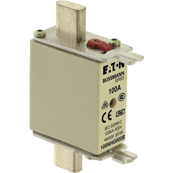 Fuse-link, LV, 25 A, AC 690 V, NH000, gL/gG, IEC, dual indicator, live gripping lugs image 3
