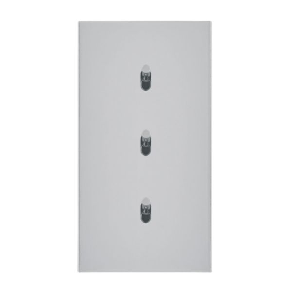 Art d'Arnould Epure universe three two-way switch or switch - satin steel image 1