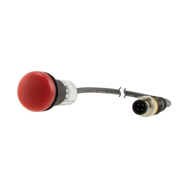 C22-L-R-24-P3 Indicator light, Flat, Cable (black) with M12A plug, 4 pole, 0.5 m, Lens Red, LED Red, 24 V AC/DC image 6