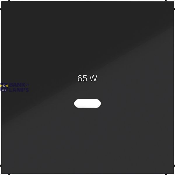 Center plate for USB-C socket, A.x/C.x, glossy night black image 1