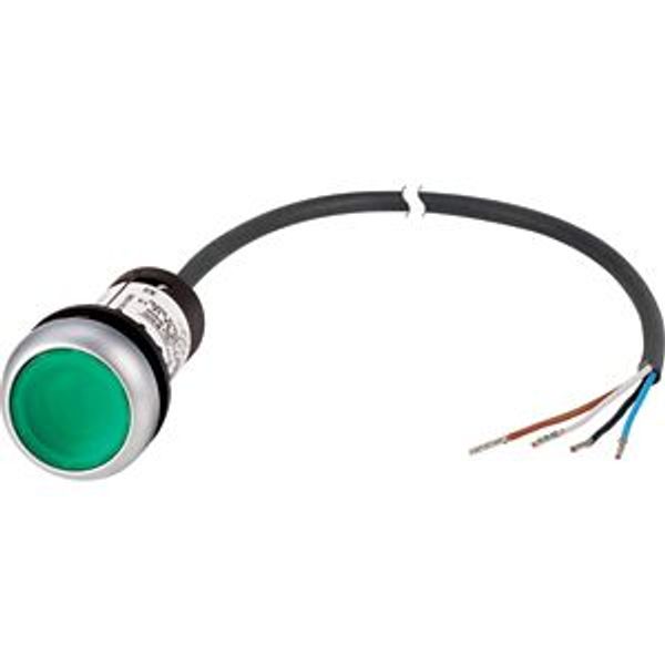 C22-DL-G-K10-24-P65 Illuminated pushbutton actuator, Flat, momentary, 1 N/O, Cable (black) with non-terminated end, 4 pole, 3.5 m, LED green, green, Blank, 24 V AC/DC, Be image 2
