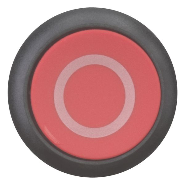 M22S-D-R-X0 Pushbutton, RMQ-Titan, Flat, momentary, red, inscribed, Bezel: black image 12
