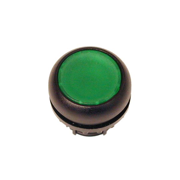 M22S-D-G Pushbutton, RMQ-Titan, Flat, momentary, green, Blank, Bezel: black image 1