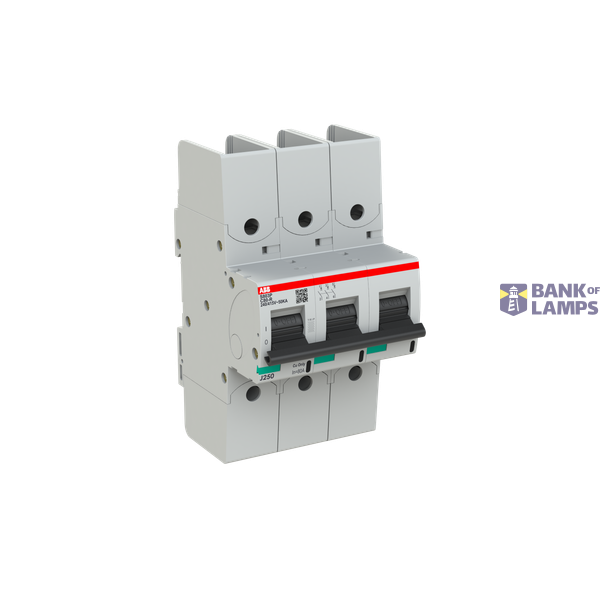 S803P-C80-R circuit breaker image 2