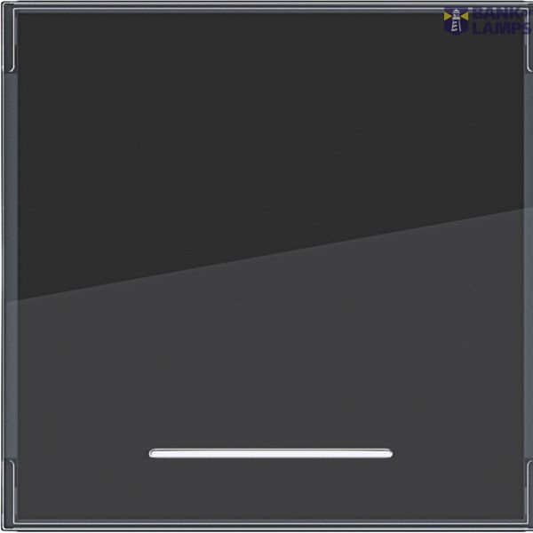 Rocker single, large text field, clear lens, A.x/C.x, anthracite image 1
