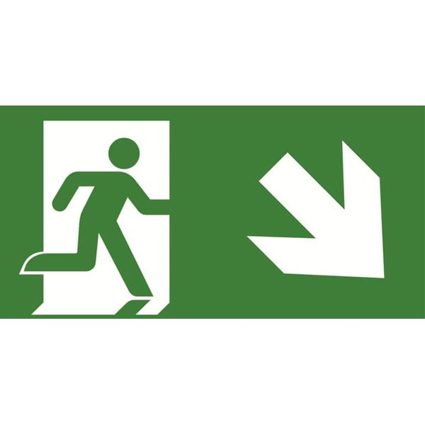 BLPISOP-2240E55 PrimEvo pictogram 45 arrow down R image 2