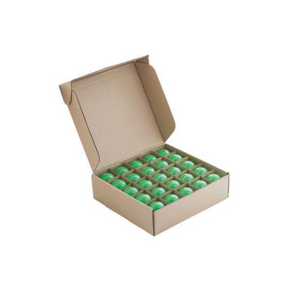 EcoPack LED Ball G45 E27 1W Green Bulk image 2