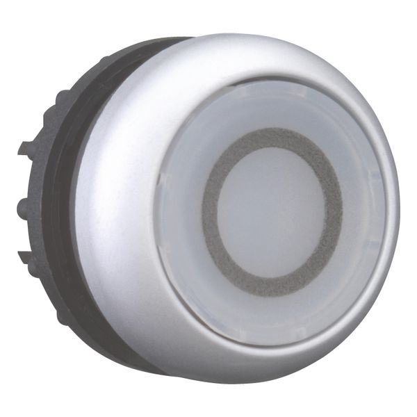 M22-DL-W-X0 Illuminated pushbutton actuator, RMQ-Titan, Flush, momentary, White, inscribed 0, Bezel: titanium image 12