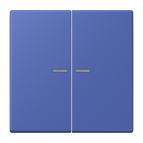 JUNG HOME push-button 2-gang BTLC17102206 image 1