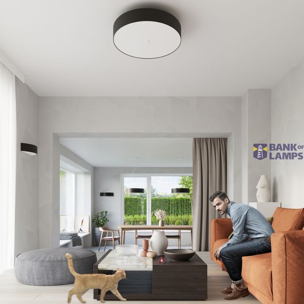 CEILING LAMP SCALE 60 BLACK E27 5X60W IP20 image 6