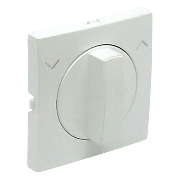 C.PLAT F/ROTARY PUSH-BUT/TWO-WAY SWITCH ICE image 2