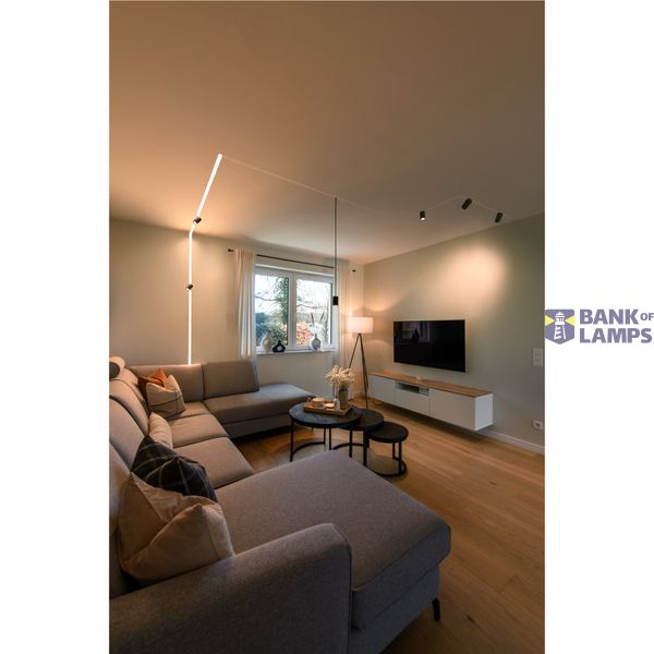NUMINOS® XS 48V TRACK DALI, pendant light, black / black, 8.7W, 620lm, 2700K, CRI90, 40° image 2