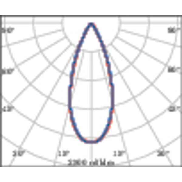 B5 10.5 S/M 930 WIT DALI2 image 4
