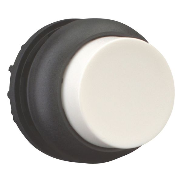 M22S-DH-W Pushbutton, RMQ-Titan, Extended, momentary, White, Blank, Bezel: black image 7
